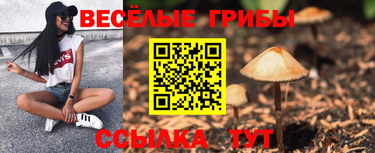 Псилоцибиновые грибы мухоморы Зима