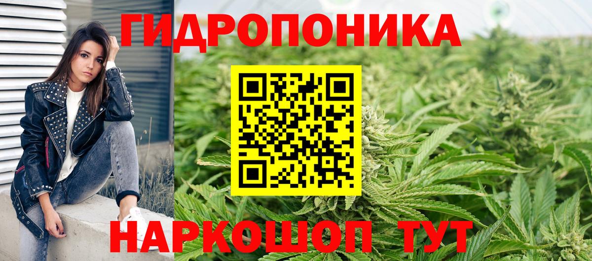 Шишки марихуана AK-47  Вход с VPN  Зима  Конопля White Widow  Бошки Шишки THC 21% 